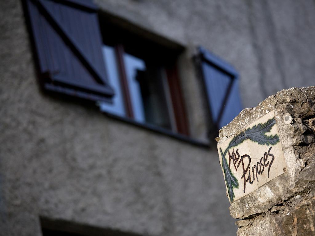Gasthaus Mas Pinoses Les Llosses Exterior foto